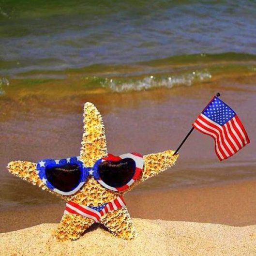 Patriotic Starfish